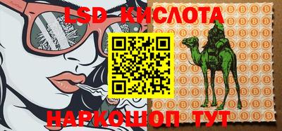 стаф Будённовск