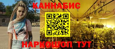 стаф Будённовск