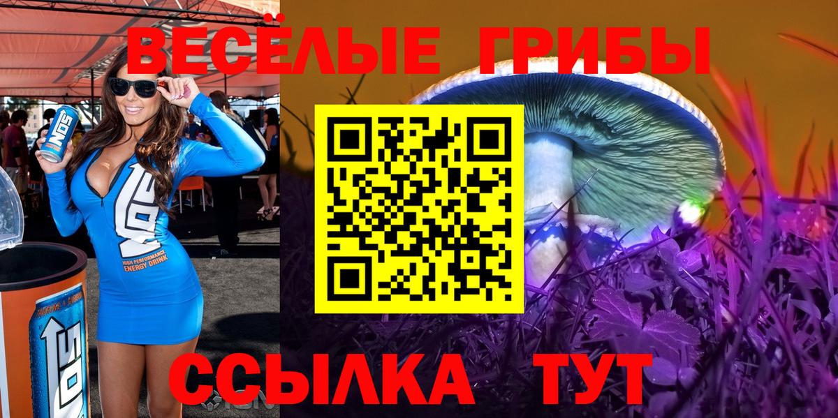 Менделеевск  Галлюциногенные грибы Cubensis  Вход с VPN 